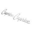Picture of 1965-1967 Full-Size Chevrolet Front Fender Emblem, “Caprice”, Sold as a Pair