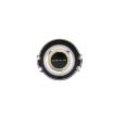 Picture of 1966 Chevelle Standard Wheel Horn Button Emblem, “Chevelle”, Sold as Each