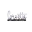Picture of 1966-1967 Corvette Glove Box Door Emblem, Sold as Each