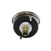 Picture of 1963-1967 Corvette Left Hand Outboard Tail Light Assembly, Sold as Each