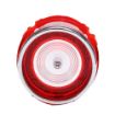 Picture of 1965 Chevrolet Impala Back Up Light Lens, Sold as Each