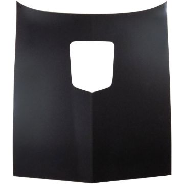 Show details for 1977-1981 Pontiac Firebird Trans Am Hood Picture of 1977-1981 Pontiac Firebird Trans Am Hood