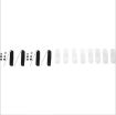 Picture of 1973-1988 Chevrolet Pickup Truck Exterior Cab Molding Sets