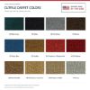 ACC Cutpile carpet color chart for this listing - Proudly Made in the USA