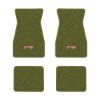 1967-1969 Chevrolet Camaro floor mats with the RS with Silver Outline logo in Loop 14 Moss Green carpet, illustration