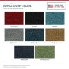 ACC Cutpile carpet color chart for this listing - Proudly Made in the USA